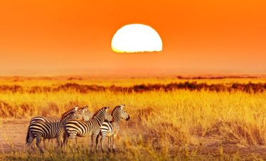 21 DAYS KENYA BUDGET SAFARI