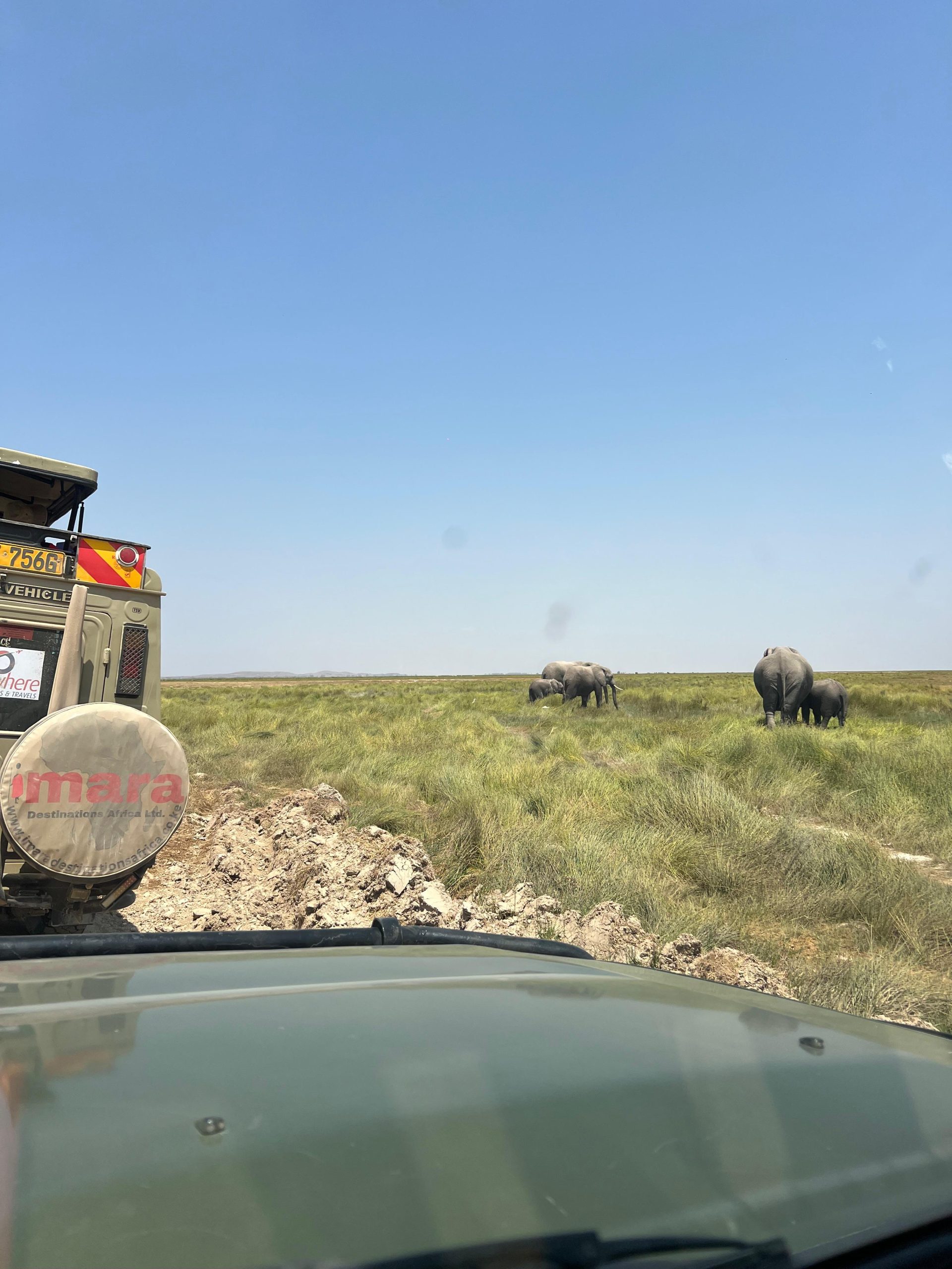Our guests spotted elephants while in a game drive in Amboseli National Park.